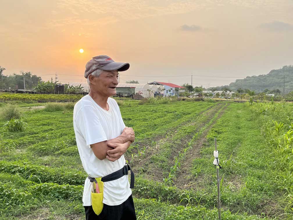 種土