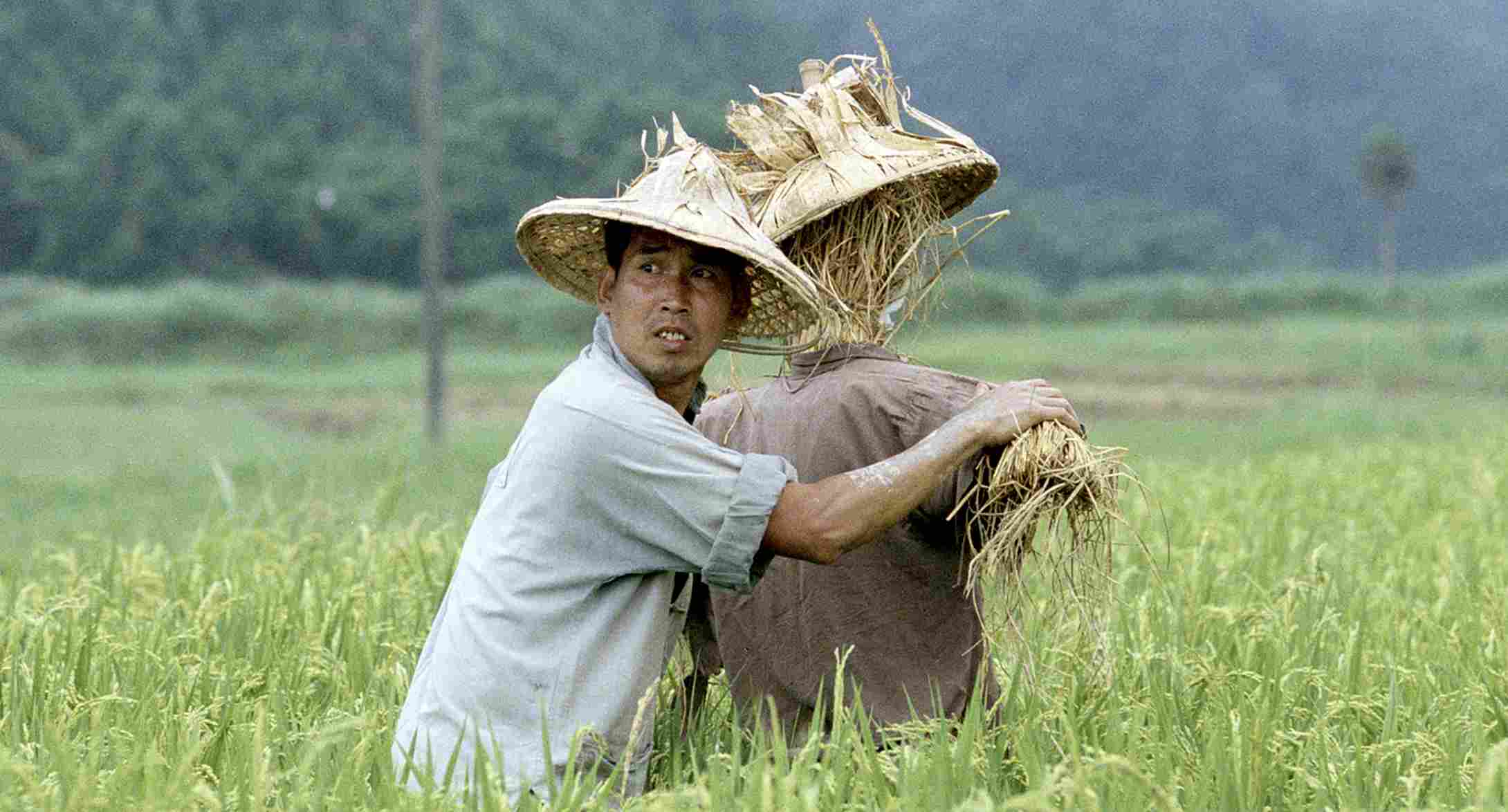 稻草人 數位修復版