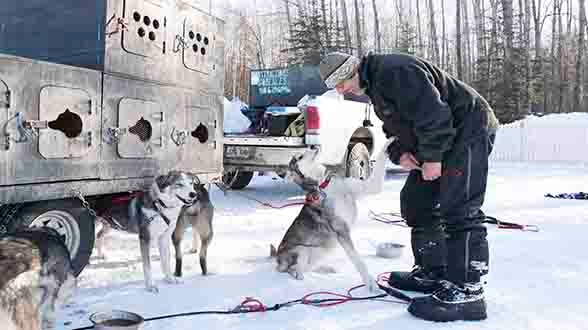 【聽．視界電影院】靈犬與我：極地生存